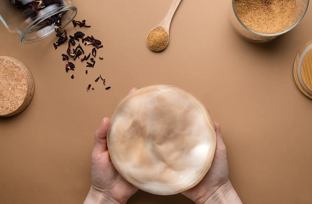 ¿Qué es el SCOBY? El Corazón de la Kombucha